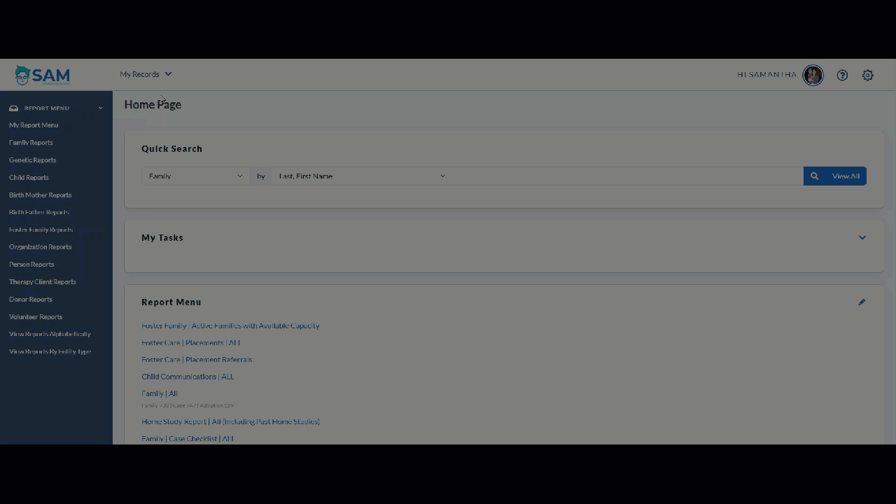 entity-tab-report-menu.gif