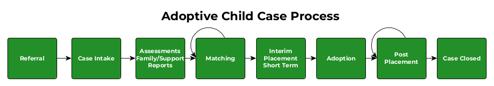 Adoptive_Child_Case_Process.png